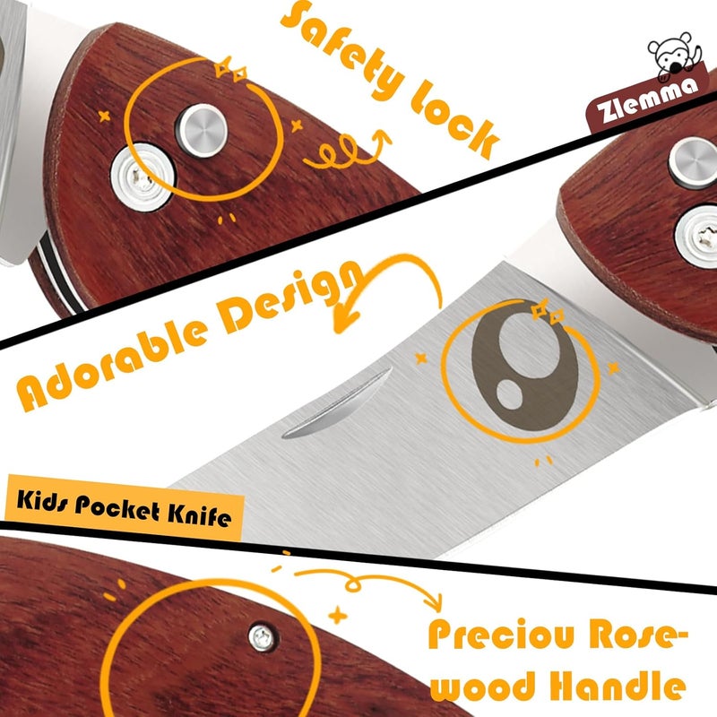 ZLemma Kids Pocket Knife with Sheath Set - Stainless Steel Children’s Folding Pocket Knife with Safety Rounded Tip - Image 3